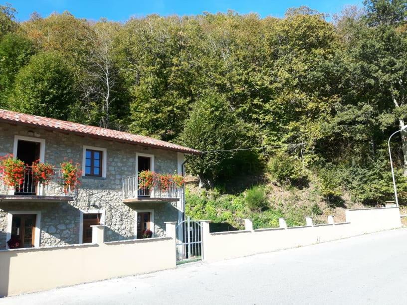 Affittacamere Da Morena Gorfigliano Exterior photo